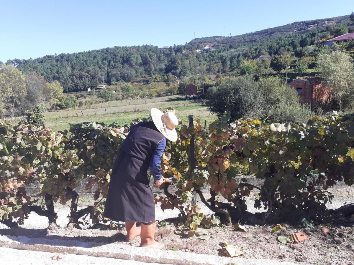 Quinta Da Peca Douro Vinhateiro Vila Real Exterior foto