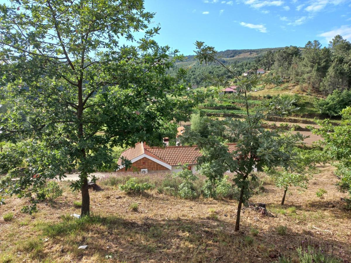 Quinta Da Peca Douro Vinhateiro Vila Real Exterior foto